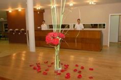 Foto de la galería: Noche de San Valentin y aniversarios