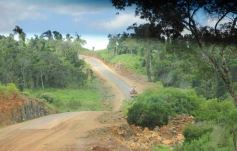 Foto de la galería: Camino al Moconá