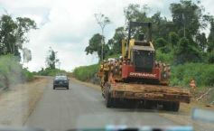 Foto de la galería: Camino al Moconá