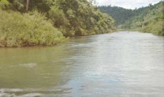 Foto de la galería: Camino al Moconá