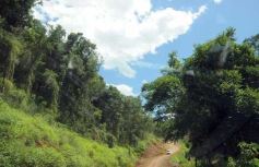 Foto de la galería: Camino al Moconá