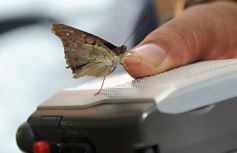 Foto de la galería: Camino al Moconá