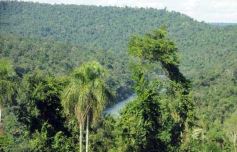 Foto de la galería: Camino al Moconá