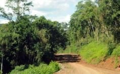 Foto de la galería: Camino al Moconá
