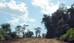 Foto de la galería: Camino al Moconá