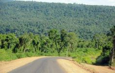 Foto de la galería: Camino al Moconá