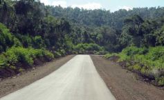 Foto de la galería: Camino al Moconá