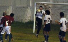 Foto de la galería: Brown 2 - A. Obera 2