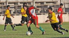 Foto de la galería: Garupá P.1-Brown 3