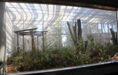 Foto de la galería: Parque Temático Cruz de Santa Ana, Previa a la Inaguración