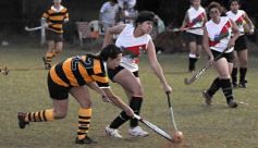 Foto de la galería: T. Integración-Mayores-Juveniles