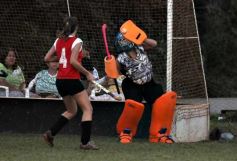 Foto de la galería: T. Integración-Mayores-Juveniles