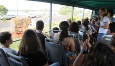 Foto de la galería: Paseo turistico