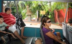 Foto de la galería: Paseo turistico