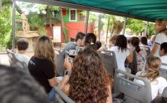 Foto de la galería: Paseo turistico