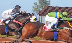 Foto de la galería: Volvió la fiesta del Turf en Posadas