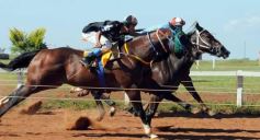 Foto de la galería: Volvió la fiesta del Turf en Posadas