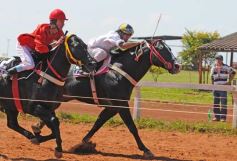 Foto de la galería: Volvió la fiesta del Turf en Posadas