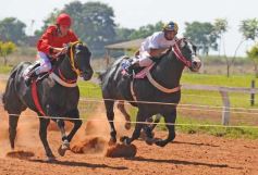 Foto de la galería: Volvió la fiesta del Turf en Posadas
