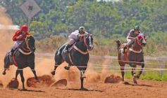 Foto de la galería: Volvió la fiesta del Turf en Posadas
