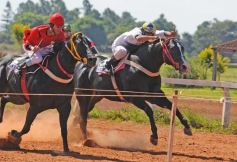 Foto de la galería: Volvió la fiesta del Turf en Posadas