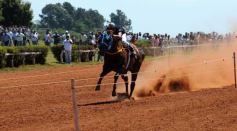 Foto de la galería: Volvió la fiesta del Turf en Posadas