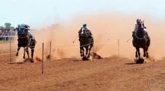 Foto de la galería: Volvió la fiesta del Turf en Posadas