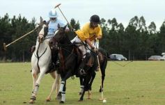 Foto de la galería: Sure Rain-Taurus