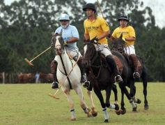 Foto de la galería: Sure Rain-Taurus