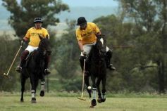 Foto de la galería: Sure Rain-Taurus