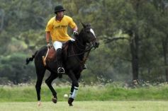 Foto de la galería: Sure Rain-Taurus