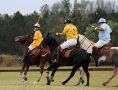 Foto de la galería: Sure Rain-Taurus