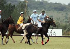 Foto de la galería: Sure Rain-Taurus