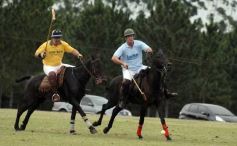 Foto de la galería: Sure Rain-Taurus