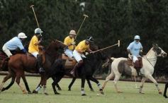 Foto de la galería: Sure Rain-Taurus