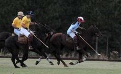 Foto de la galería: Sure Rain-Taurus