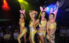 Foto de la galería: Pascua Tour 2010