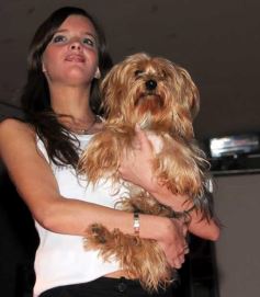 Foto de la galería: Desfile con Claudia Ciardone