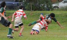 Foto de la galería: Intermedia: Lomas- Regata