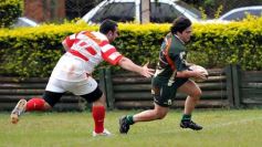 Foto de la galería: Intermedia: Lomas- Regata