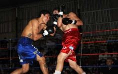 Foto de la galería: La Cobra Andino-El Verdugo Balmaceda