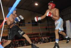 Foto de la galería: La Cobra Andino-El Verdugo Balmaceda