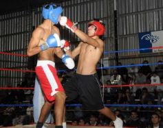 Foto de la galería: La Cobra Andino-El Verdugo Balmaceda