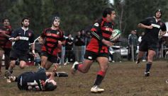 Foto de la galería: Capri 15-San Patricio 24