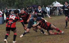 Foto de la galería: Capri 15-San Patricio 24