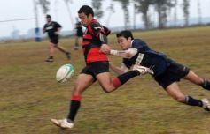 Foto de la galería: Capri 15-San Patricio 24