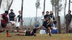 Foto de la galería: Capri 15-San Patricio 24