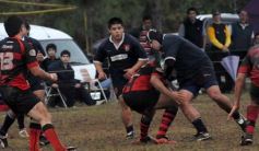 Foto de la galería: Capri 15-San Patricio 24