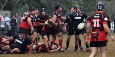 Foto de la galería: Capri 15-San Patricio 24