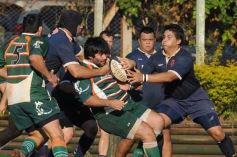 Foto de la galería: Lomas 25-Capri 27